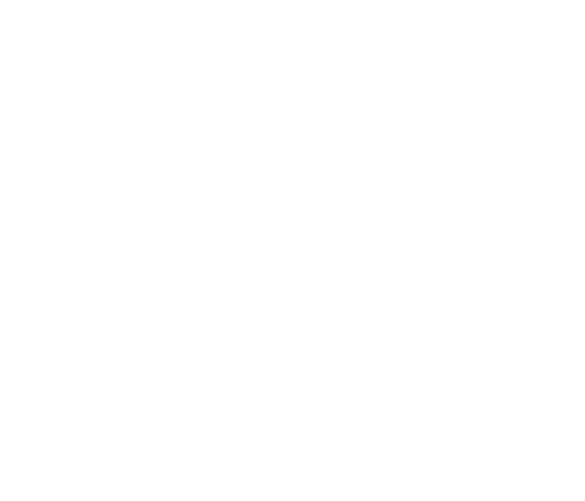BlueLink in Action